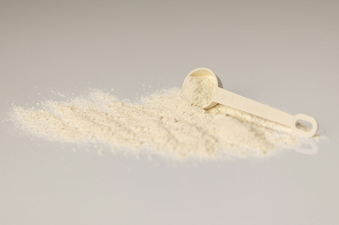 Creatine and Bone Health During Menopause: What Does the Research Show?