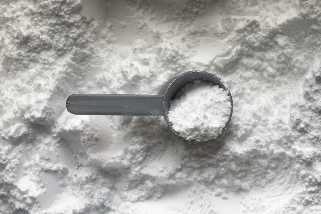 Creatine and Menopause: What Does the Research Actually Say?